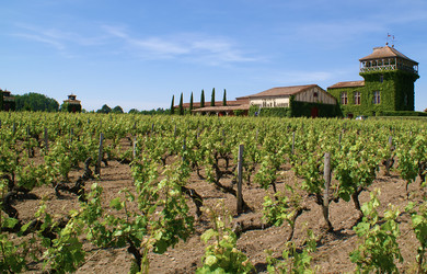 Similar image 7423827