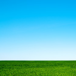 Similar image 7423829