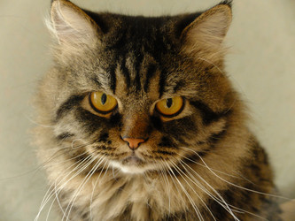 Similar image 7424008