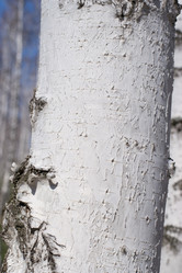 Similar image 7424091