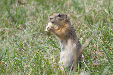 Similar image 7424111