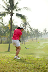 Similar image 7424184