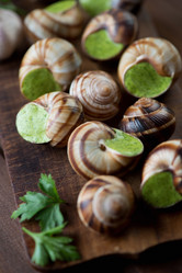 Similar image 7424313