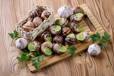 Similar image 7424315