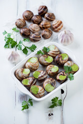 Similar image 7424330