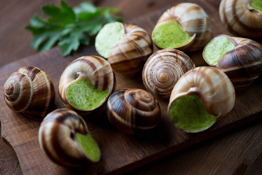 Similar image 7424339