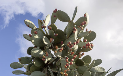 Similar image 7424368