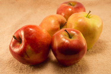 Similar image 7424577