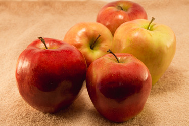 Similar image 7424578