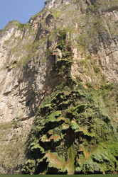 Similar image 7424599