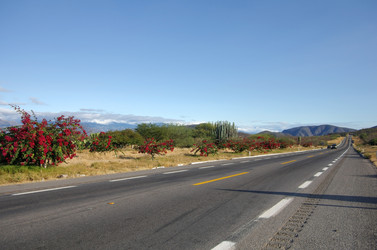 Similar image 7424604