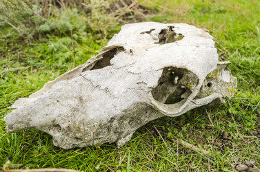 Similar image 7424663