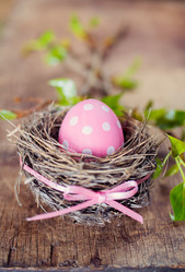 Similar image 7424833