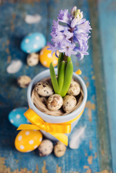 Similar image 7424846