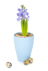 Similar image 7424847