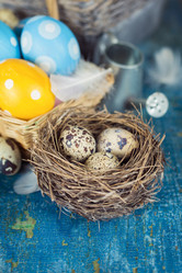 Similar image 7424850