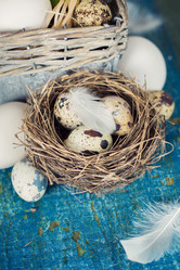 Similar image 7424871