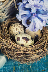 Similar image 7424882