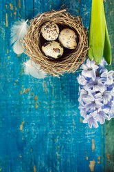 Similar image 7424884