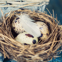 Similar image 7424885