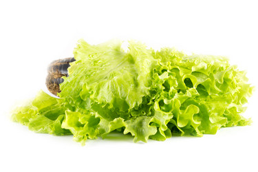 Similar image 7424933