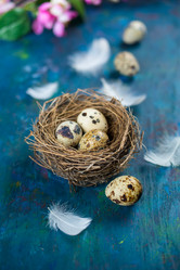 Similar image 7424948