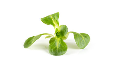 Similar image 7424972