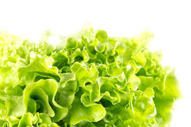 Similar image 7424978