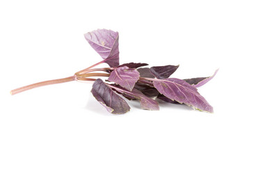 Similar image 7424979