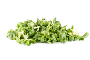 Similar image 7424988