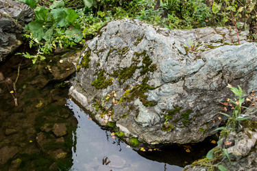 Similar image 7425177