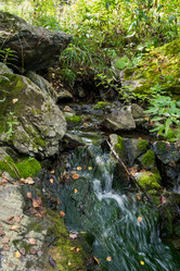 Similar image 7425178