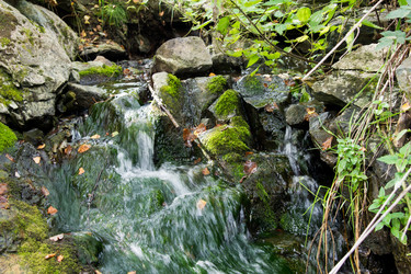 Similar image 7425179