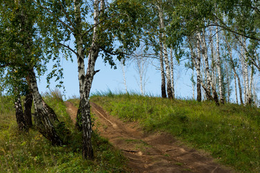 Similar image 7425181