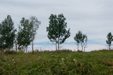 Similar image 7425185