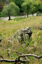 Similar image 7425187