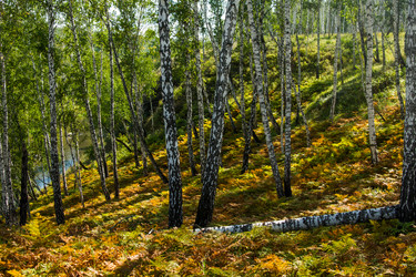 Similar image 7425190