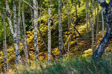 Similar image 7425204