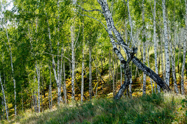 Similar image 7425210