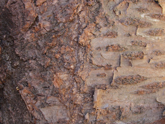 Similar image 7425252