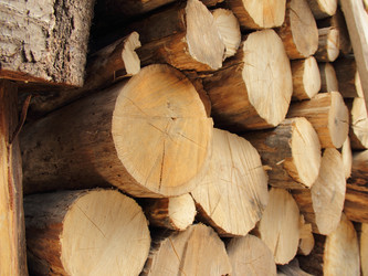 Similar image 7425257