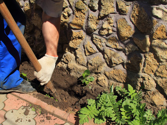 Similar image 7425259