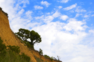 Similar image 7425274