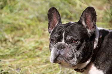 Similar image 7425293