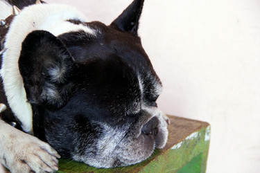 Similar image 7425479