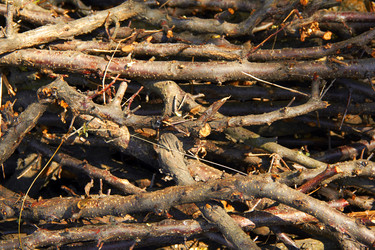 Similar image 7425496