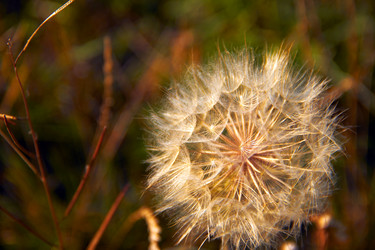 Similar image 7425499