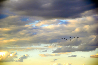 Similar image 7425504