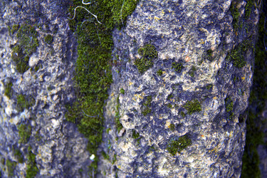 Similar image 7425505