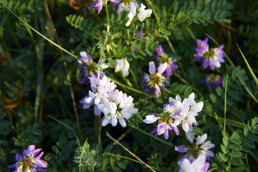 Similar image 7425516